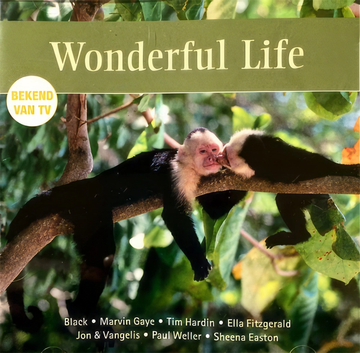 Wonderful Life