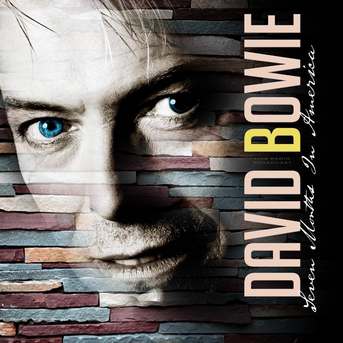 aw davidbowie2