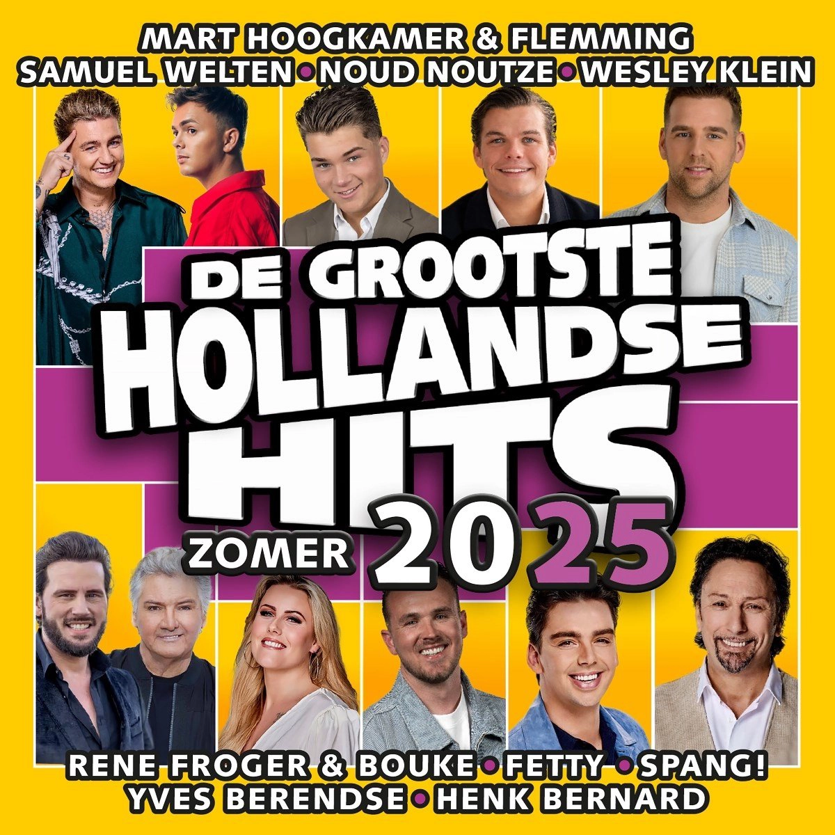 Diverse Artiesten - Hollandse Hits Zomer 2025