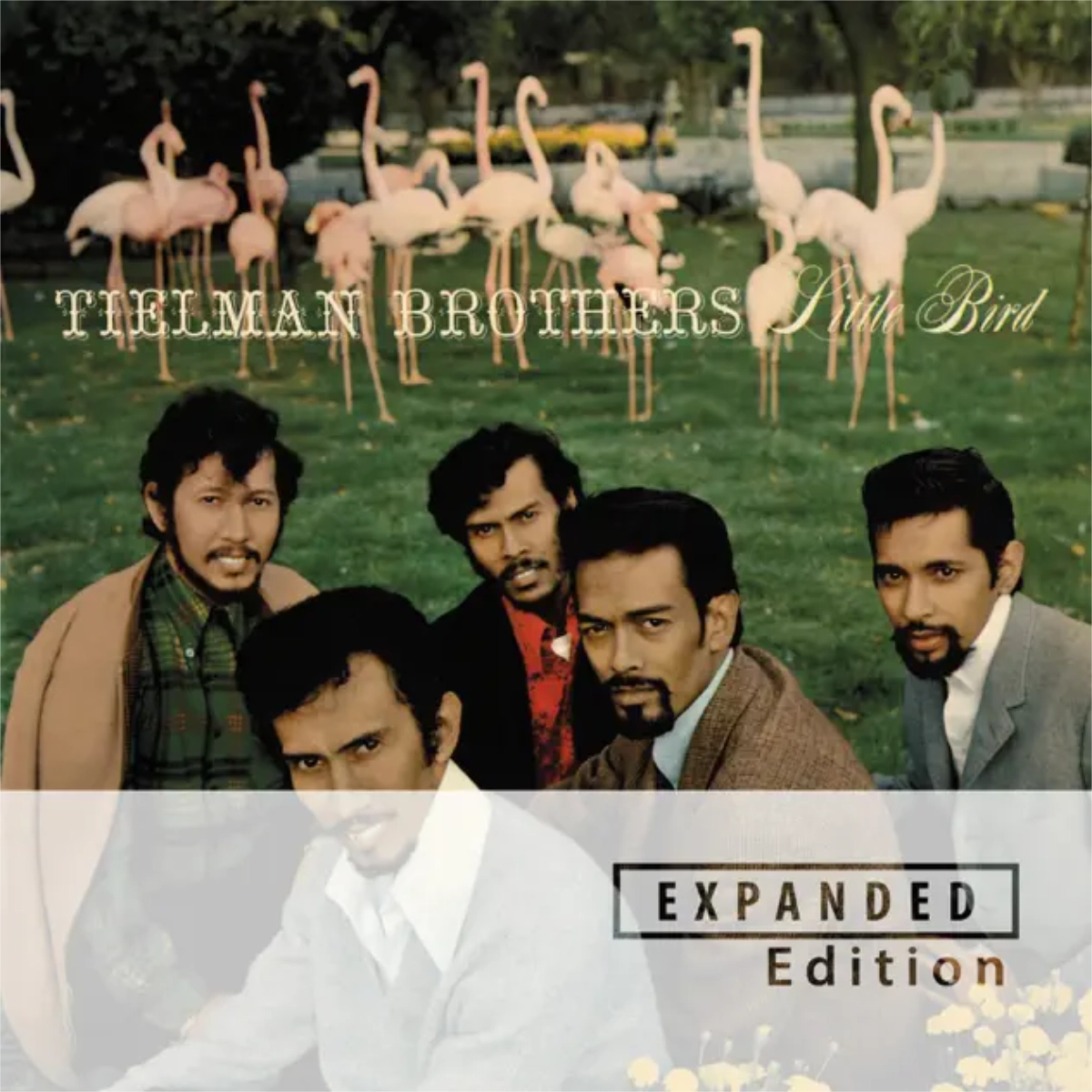 Tielman Brothers - Little Bird (Expanded)